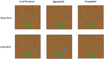 Different Conceptualizations of River Basins to Inform Management of Environmental Flows